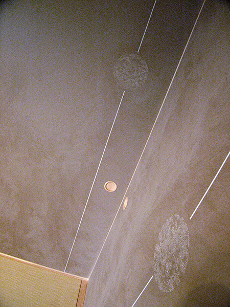 乱貼り襖と変形伊勢型紙の襖（ふすま