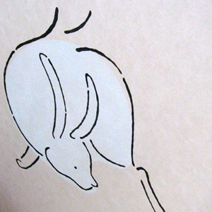 月見うさぎ_写真